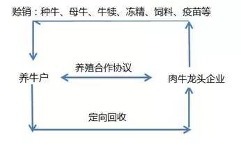 2016年中国肉牛业发展回顾