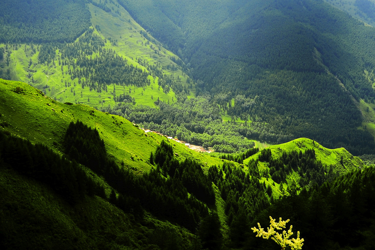 风光摄影山西五台山国家森林公园