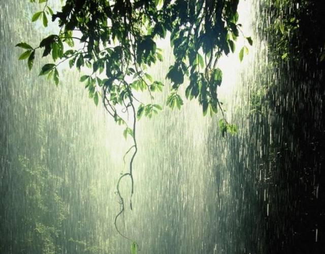 竹楼听雨 ▏绵绵细雨,点点倾城.