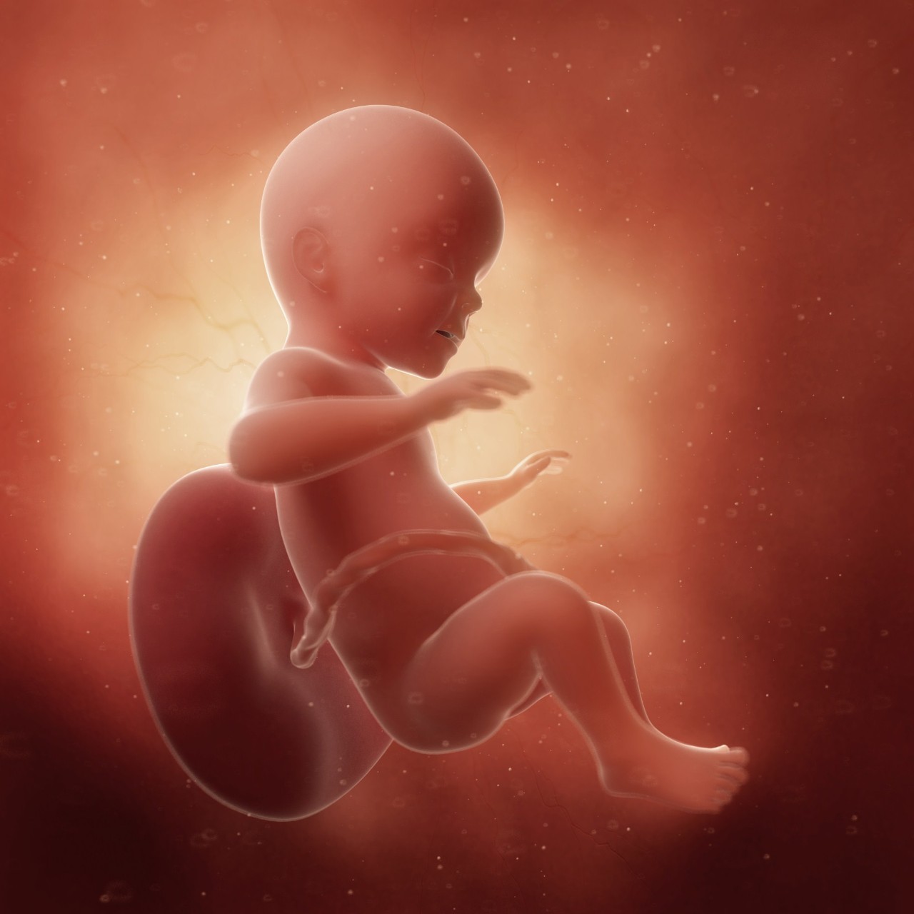 做超声影像检查时，如何让胎宝宝配合检查呢?