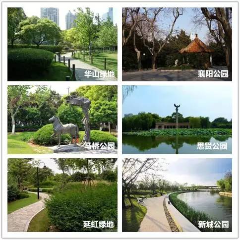上海公园排行榜