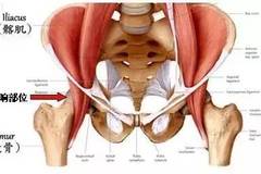 不太运动髋关节响怎么回事