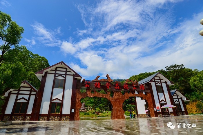 今年某天午后,一场大雨说来就来,说停就停,在公猪脊森林公园,清新的"