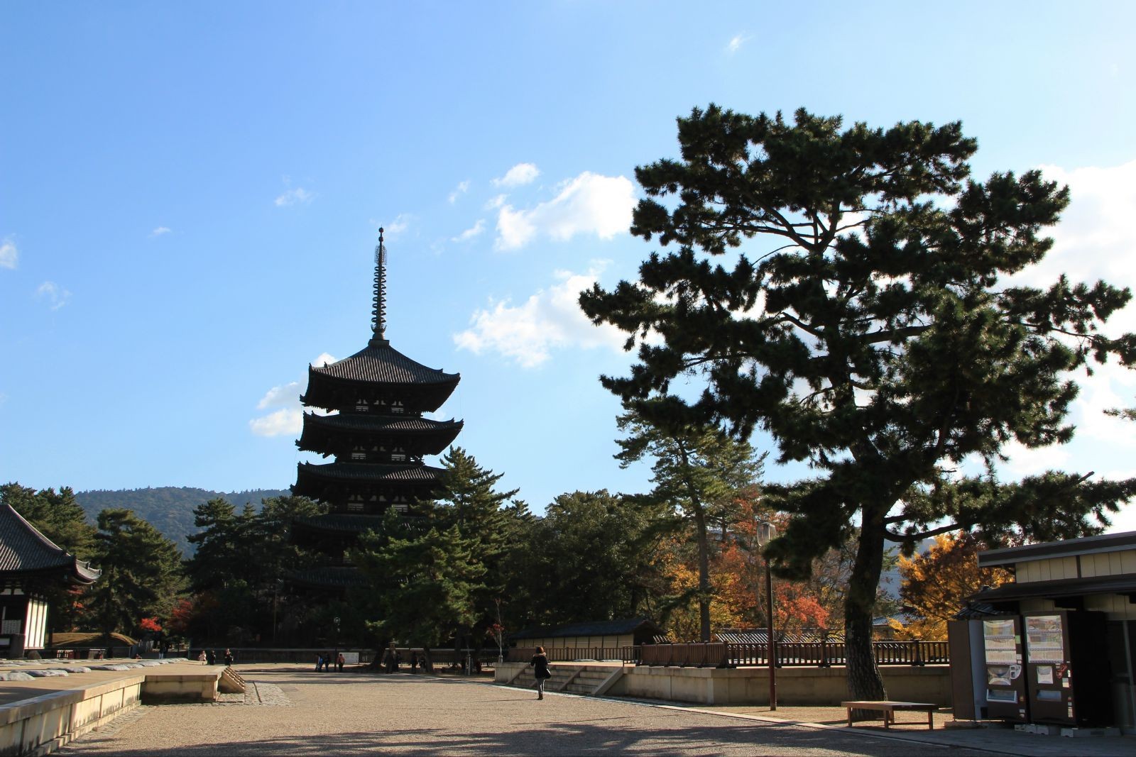 兴福寺 日本·福冈