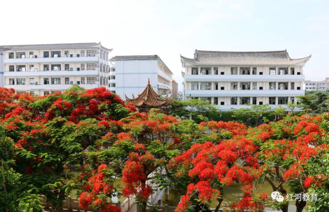 建水一中高中招生简章来袭 填报志愿前必读!