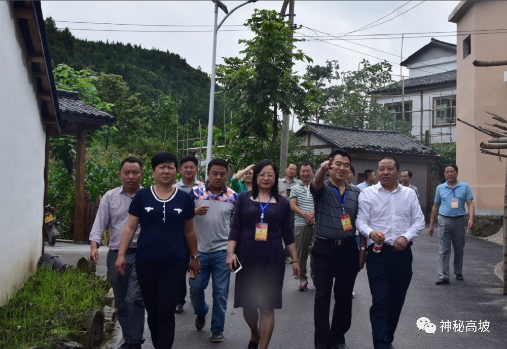 花溪区人大到高坡乡视察溪南十锦建设情况