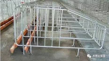 母猪限位栏采用母猪限位栏能有效地节省占地空间,最大限度地把有限