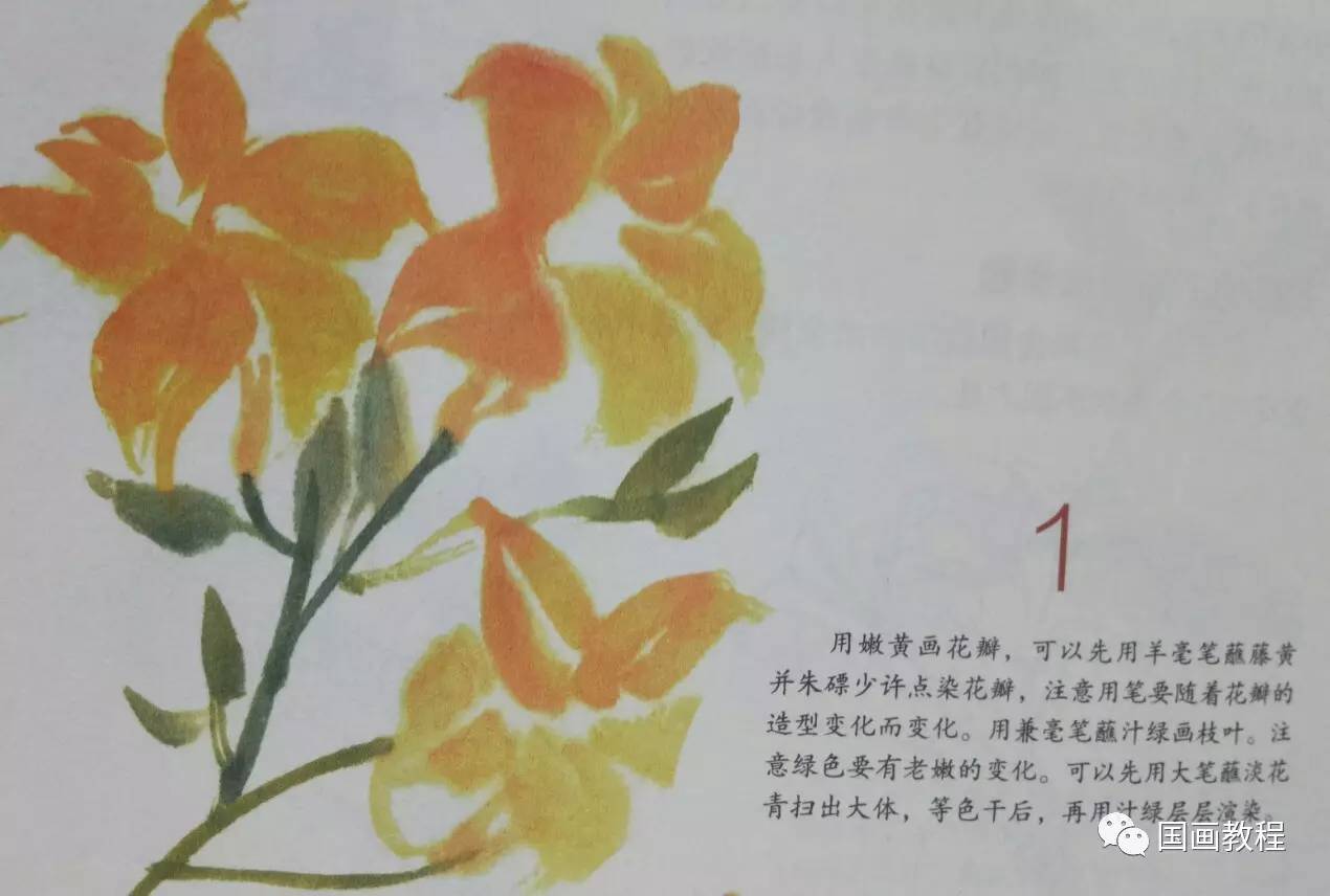 怎样画萱花