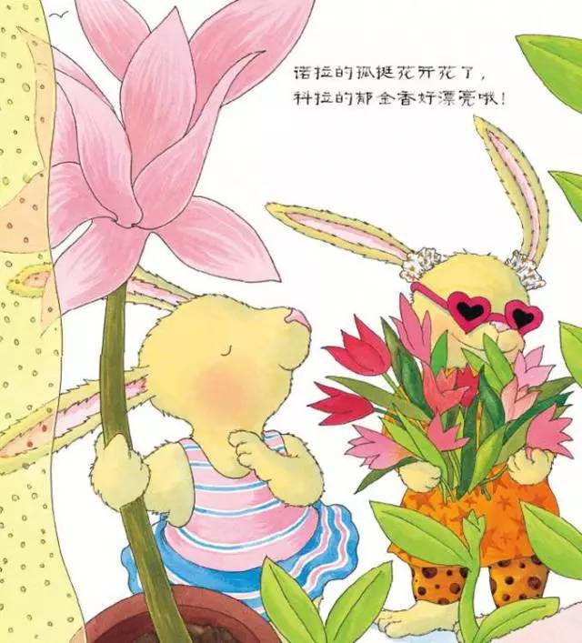 中天北京小学大童小忆栏目第十三期弗洛拉的花