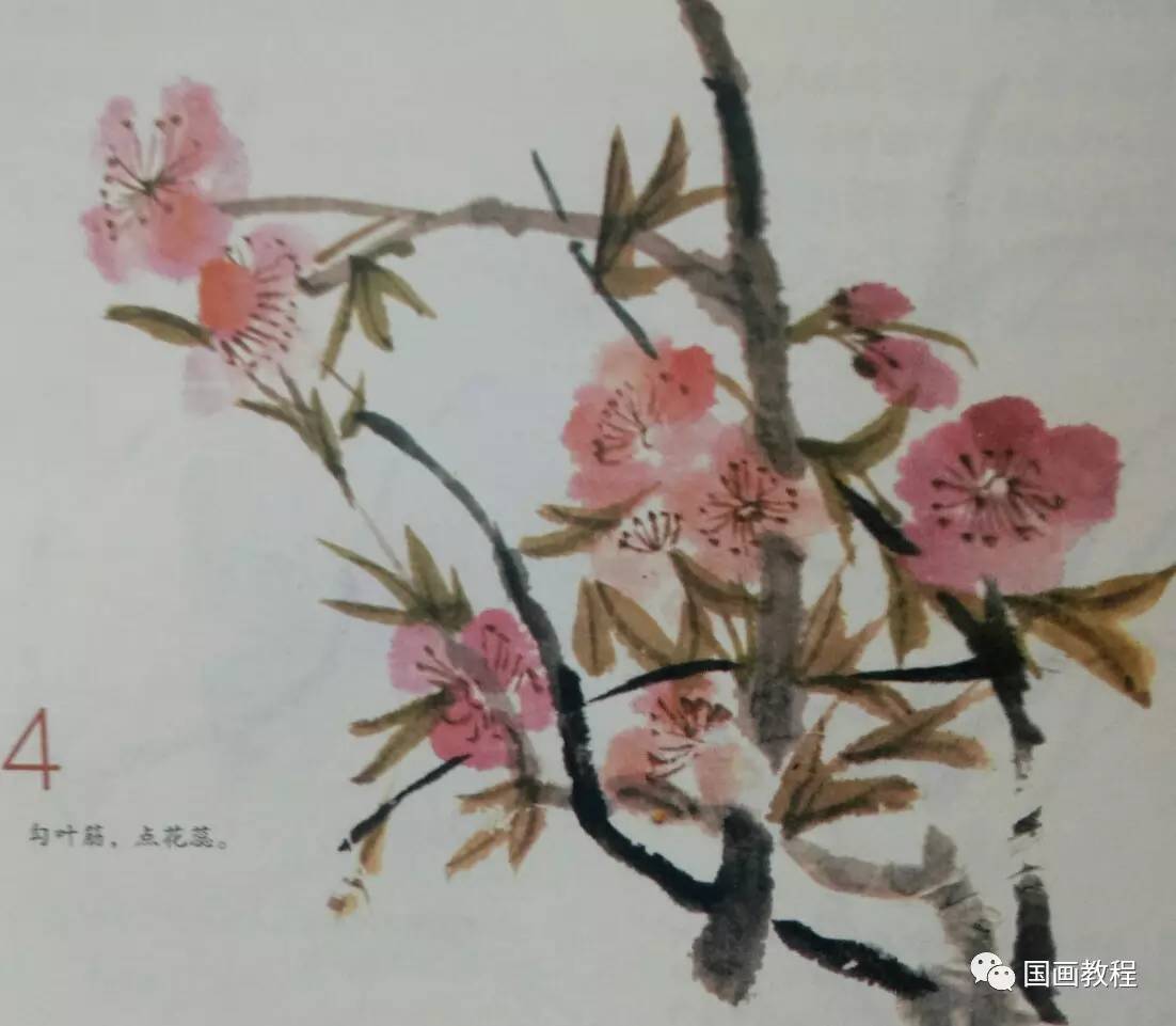 桃花的写意画法步骤画木本花卉要画好枝干.