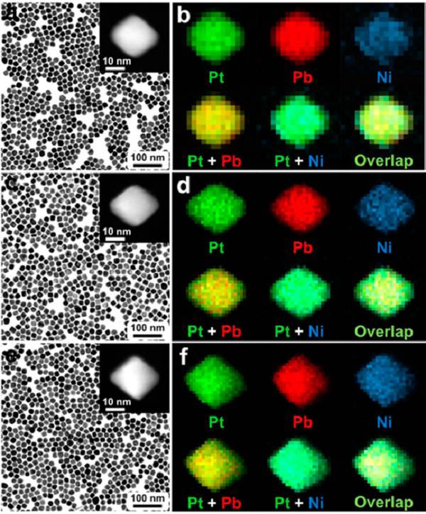 苏州大学黄小青JACS.：PtPb(金属间化合物)/PtNi(原子层)“缔结良缘”实现对氧还原的高效催化