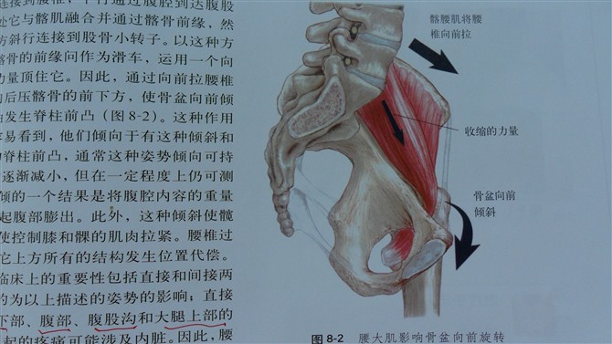 髂腰肌治疗,读书文摘!