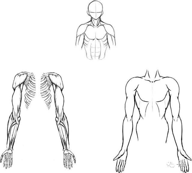搭肩手怎么画_手怎么画(2)
