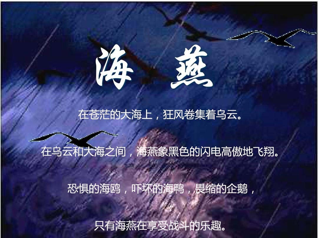 像海燕一样的俄航又在雷雨赢得了决赛战斗民族排行榜