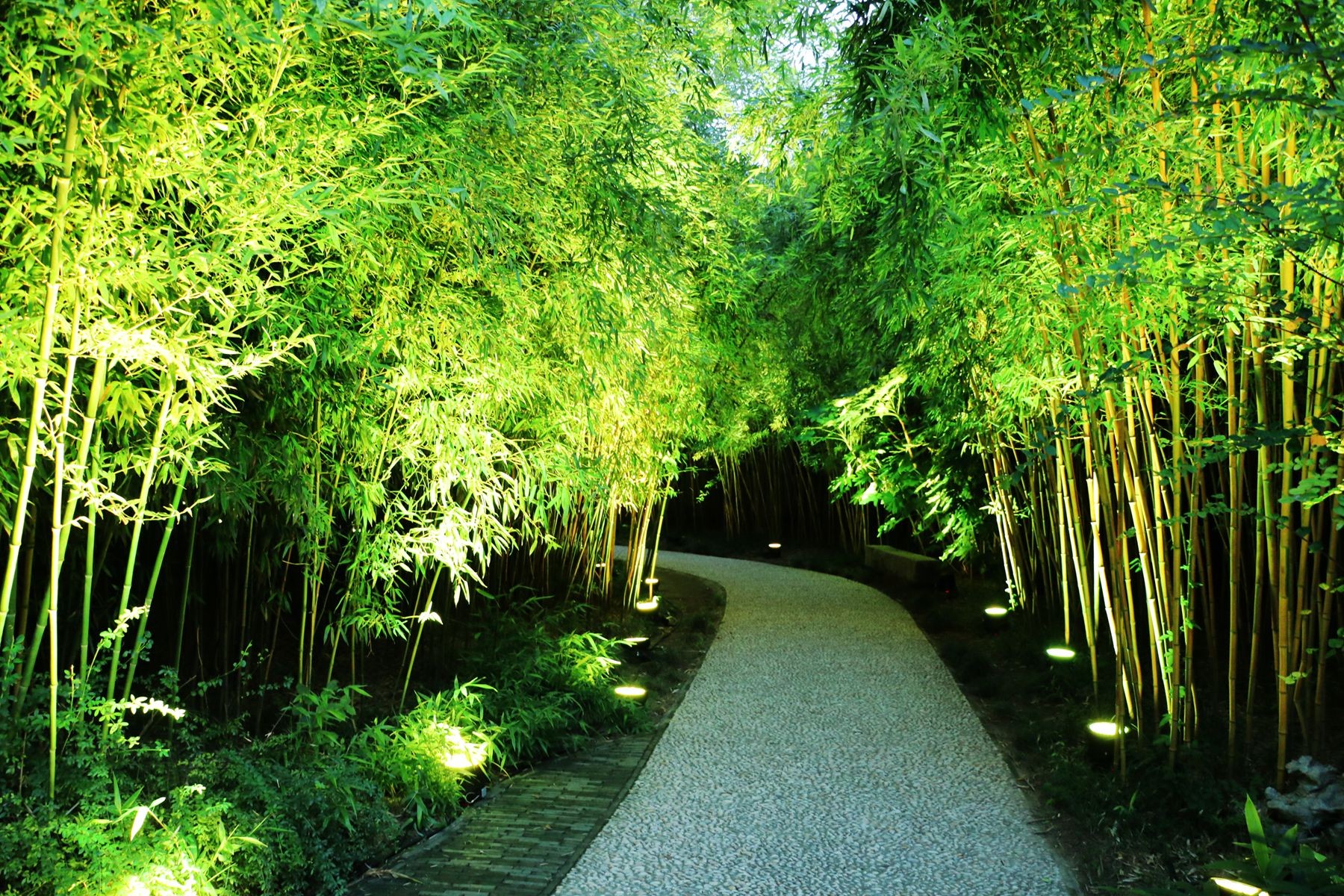 园本中国 一个园丨200余年的个园文化与现代文明的触碰!