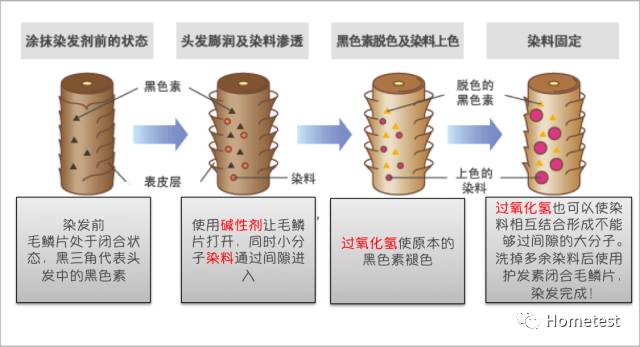 碱发原理是什么_碱铝是什么