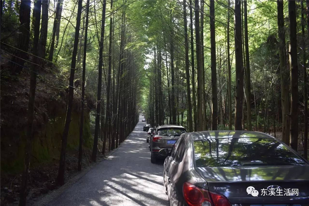 建设中广元苍溪国家森林公园高坡三溪口景区这个夏天避暑就选三溪口