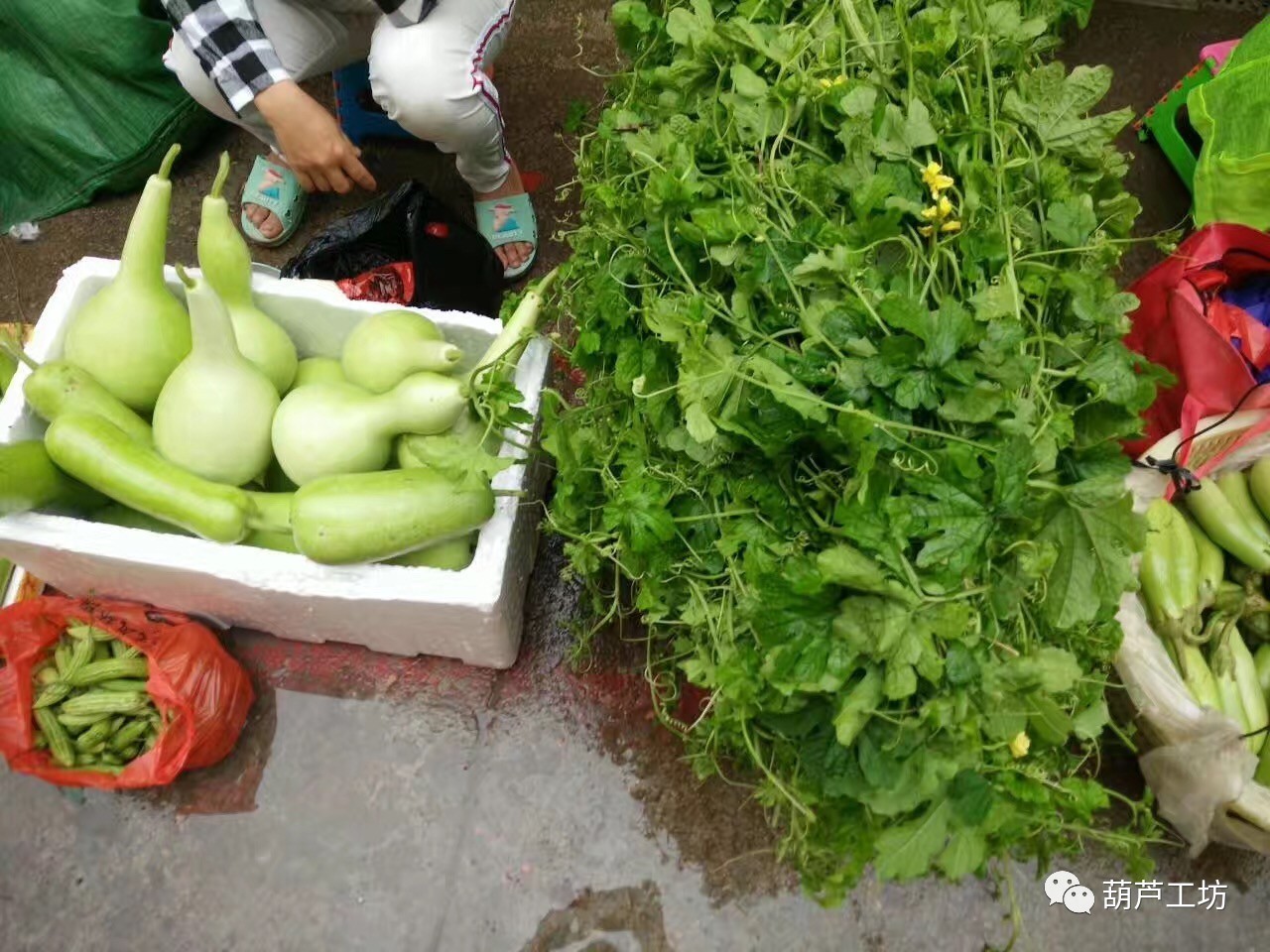 海南乐东早市:从图片看有些地方还是有吃葫芦的习惯