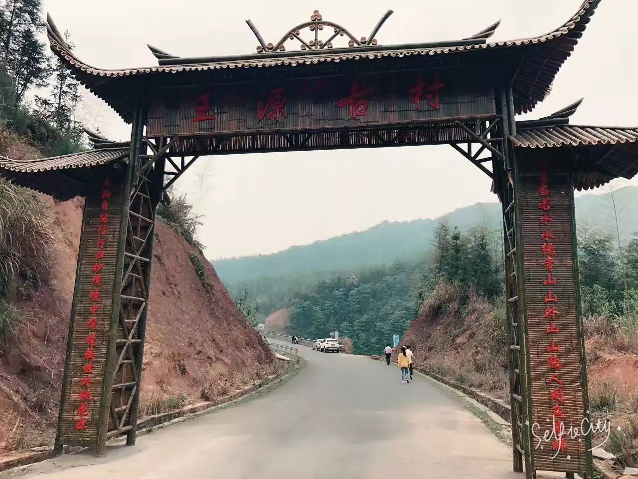 全域旅游赏花采莲观星寻古迹避暑吃瓜钓虾戏龙泉炎炎