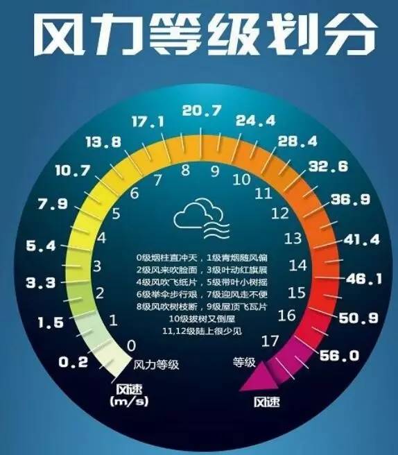 10级狂风今晨吹破绵阳,风速25米/秒!上百轿车被大树砸