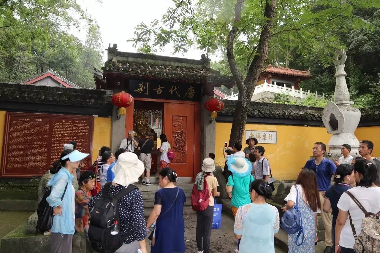 龙泉禅寺内看"南京最年长蜡梅",山林小道里穿行寻抗金
