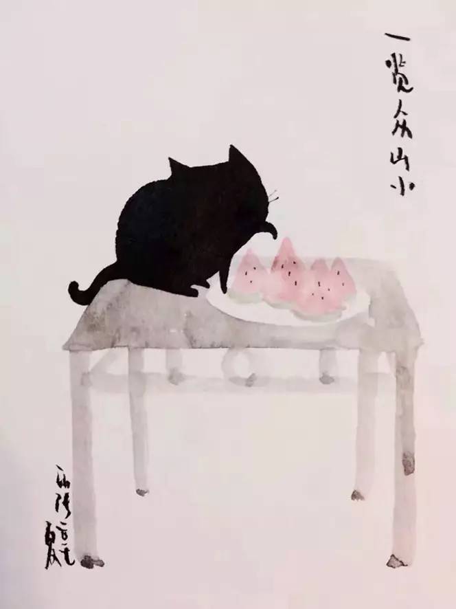 张乐陆的猫