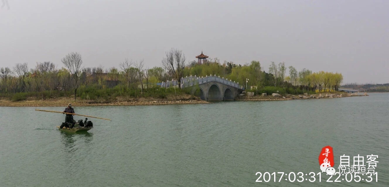 马踏湖风景区位于山东省淄博市桓台县北部,总面积近百平方公里,湖内有