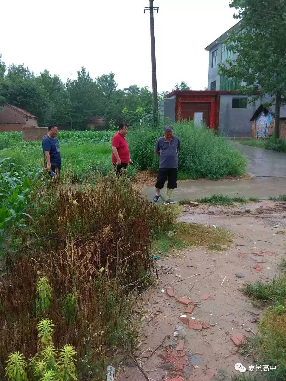 范县罗庄集村人口_范县颜村铺乡(3)