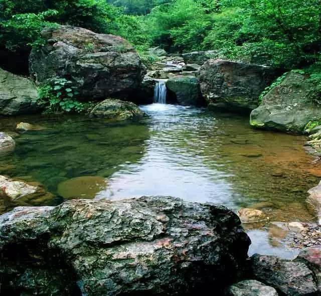 万年台村的万年台自然村风景区有奇山异石,苍松翠竹.