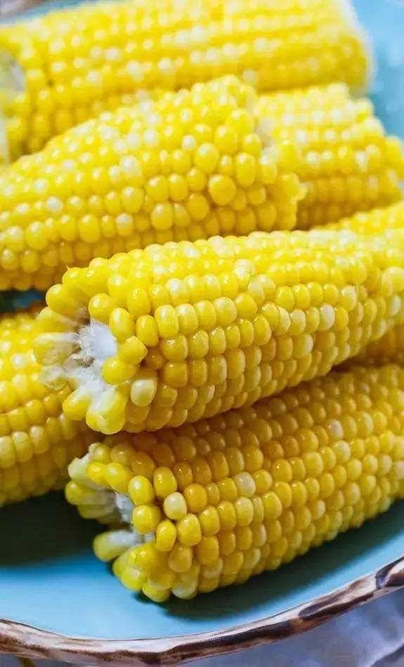 东台玉米多少钱一斤