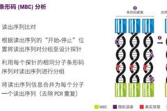 条形码的原理是什么_审计报告条形码是什么(2)