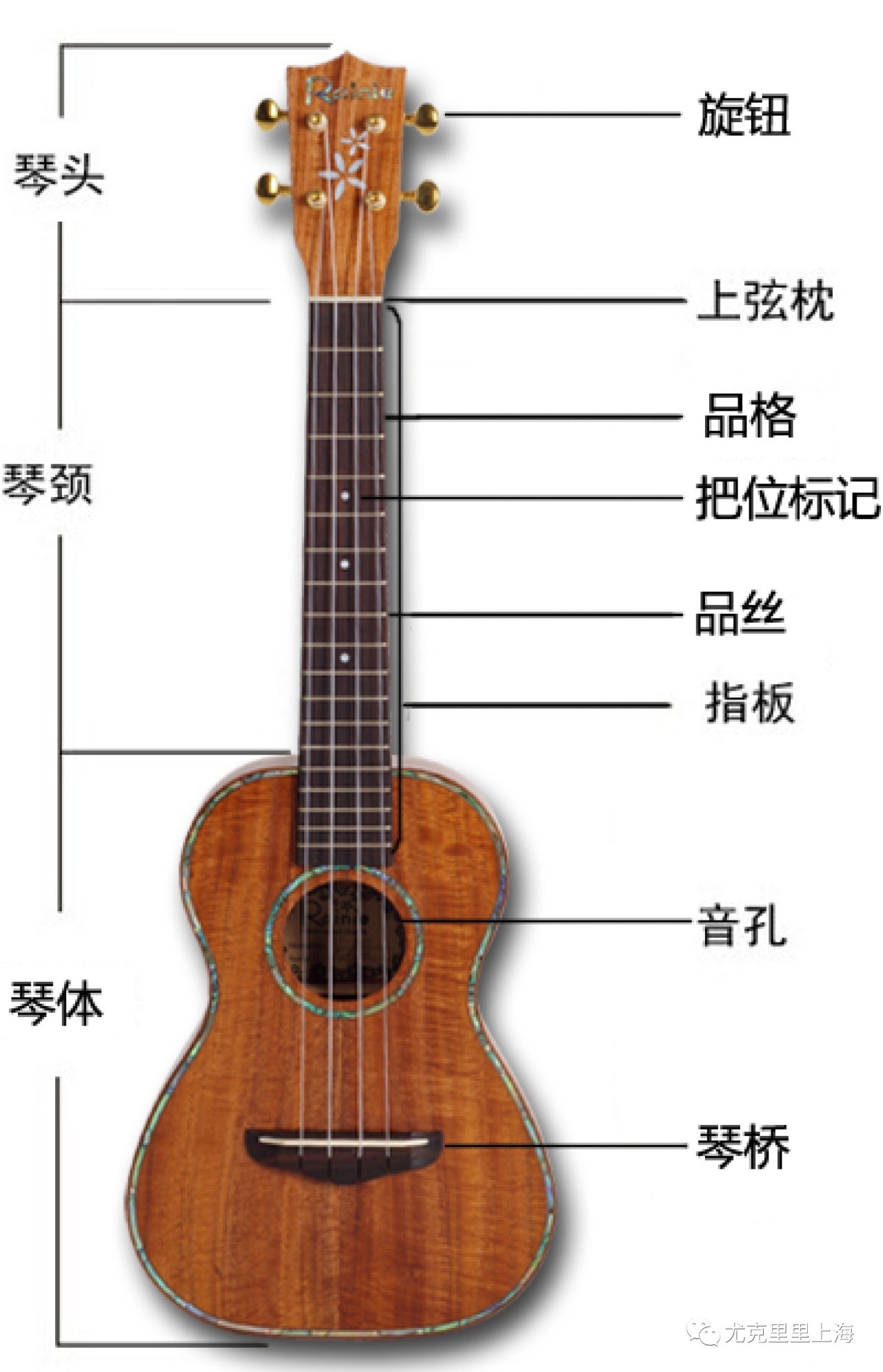 ukulele尤克里里演奏入门教程