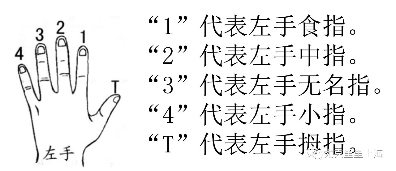 尤克里里简谱入门_尤克里里新手入门简谱(3)