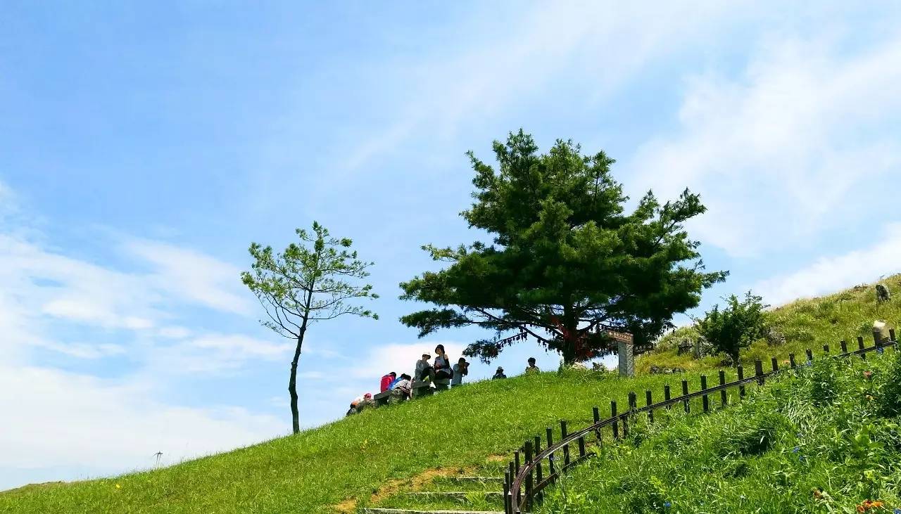 旅游 正文 开幕式上 百里荒景区被授予为 湖北省天文观测及科普教育