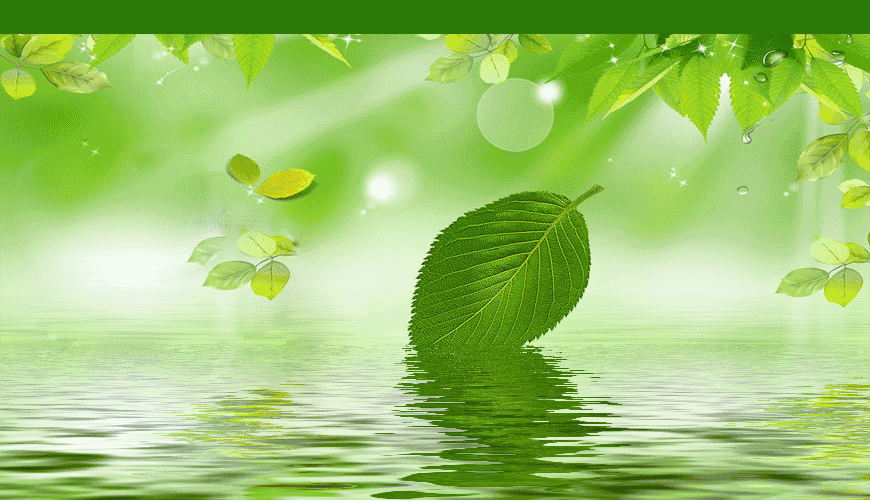 背景 壁纸 绿色 绿叶 树叶 植物 桌面 870_500 gif 动态图 动图