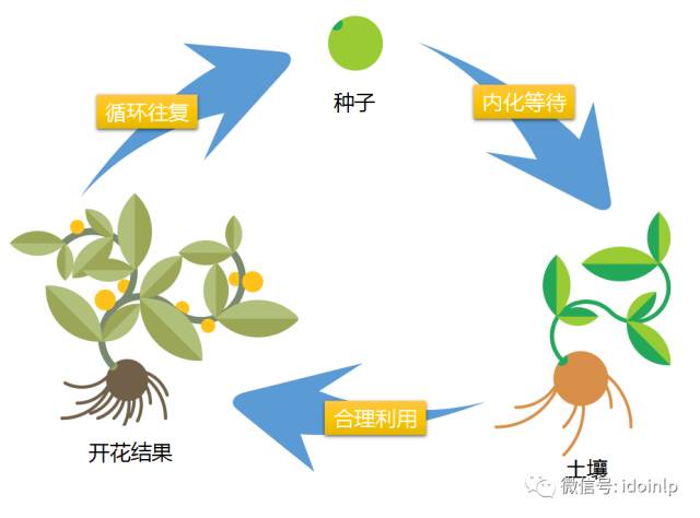 Nlp成长 程光辉 成长勤播种 独木可成林 生命的本质与意义