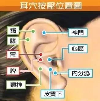 面部看妇科,太准了,绝对实用