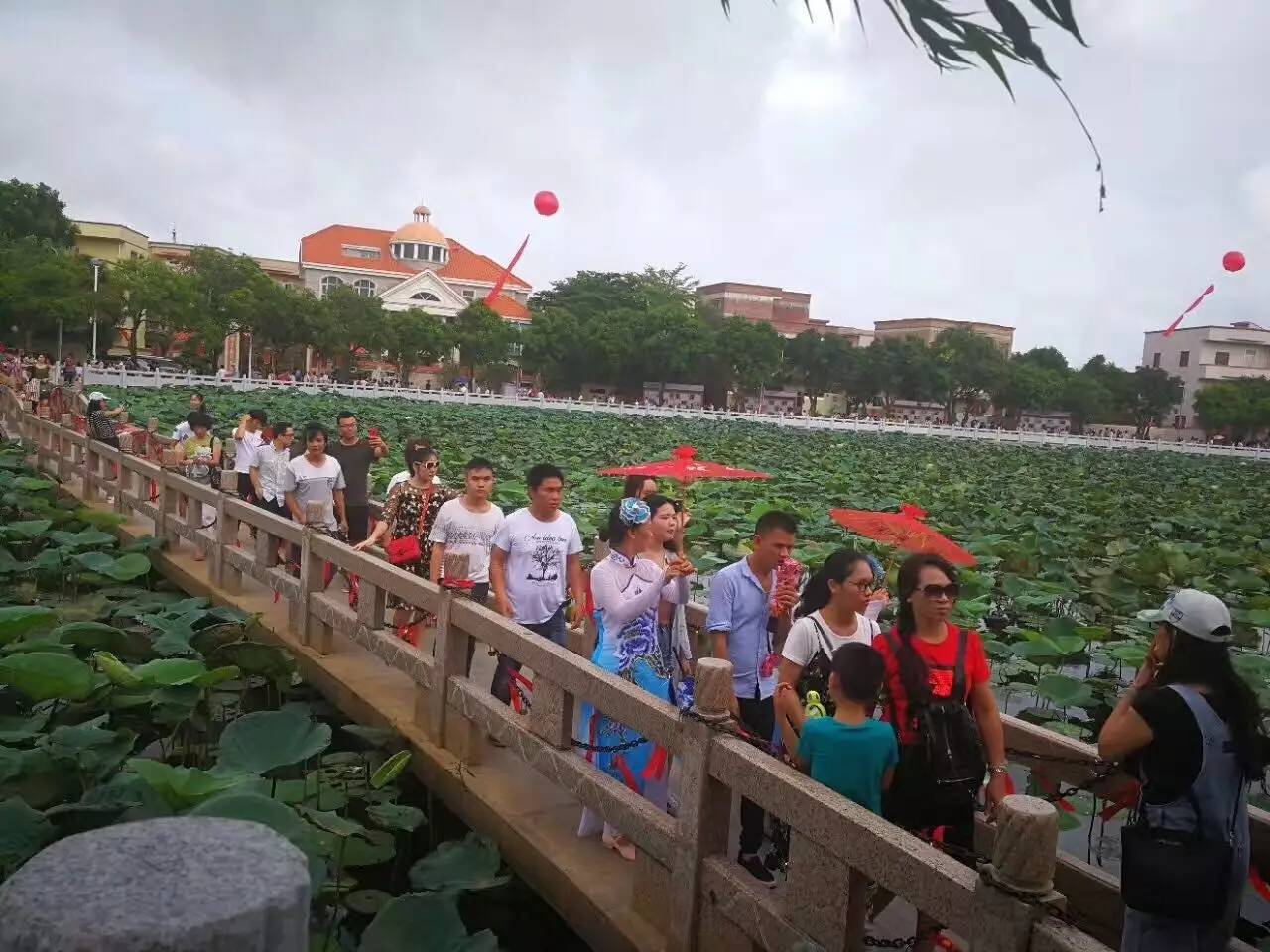 吴阳蛤岭村首届荷花文化旅游节,开幕当天美女如云!