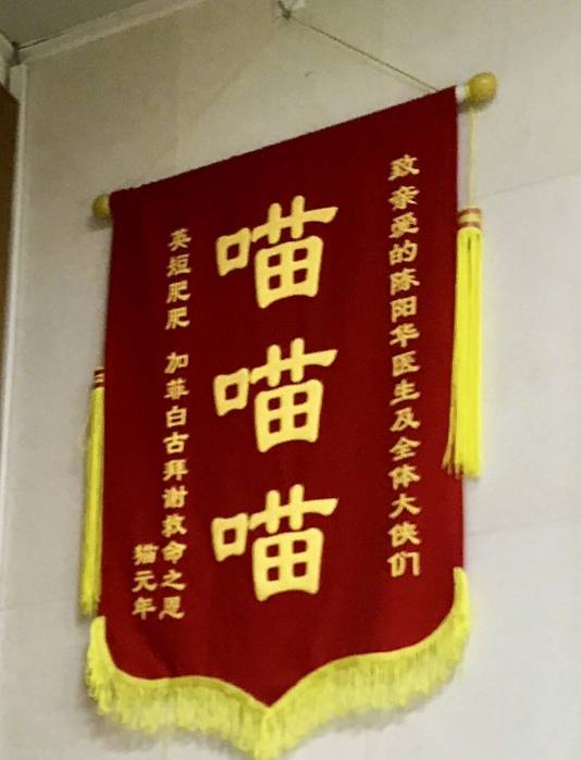 最近一家宠物医院收到的锦旗，谁给翻译一下?