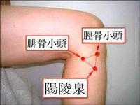 面部看妇科,太准了,绝对实用