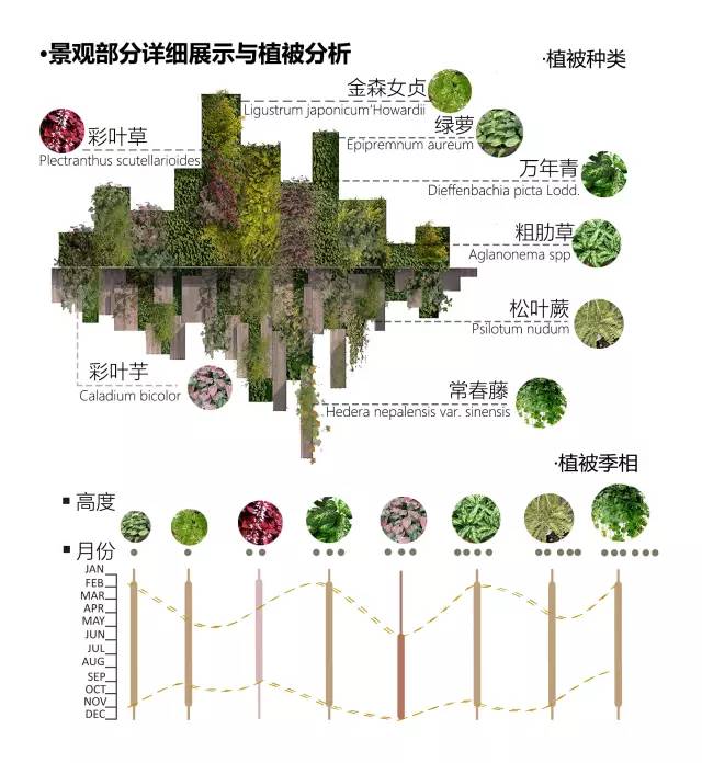 投票丨垂直景观墙竞赛方案