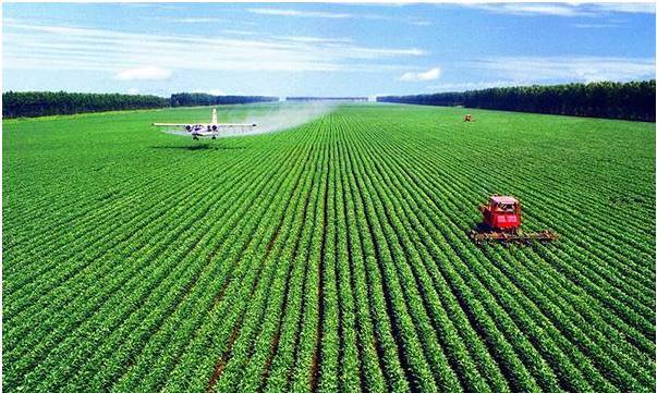 绿色农业、有机农业、生态农业到底是什么_搜狐财经_搜狐网