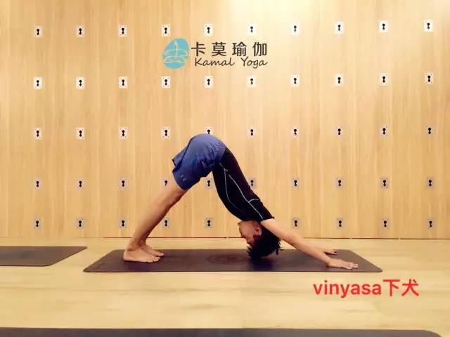 瑜伽笔记 | vinyasa 体式精讲