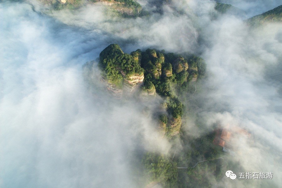 五指石旅游 | 这个小地方被誉为中国氧吧!入境,是避暑