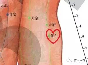 不可不知的穴位丨侠白穴