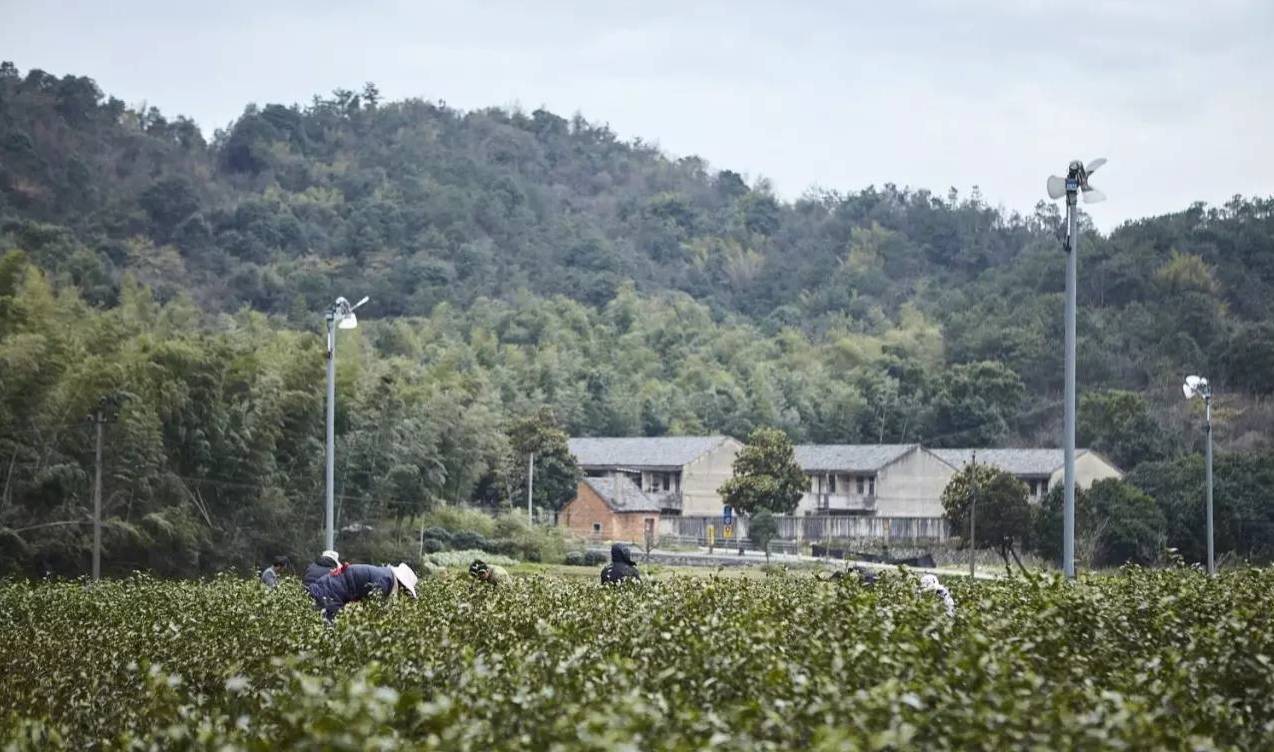 龙井乡人口_纳雍县曙光路乡龙井村(2)