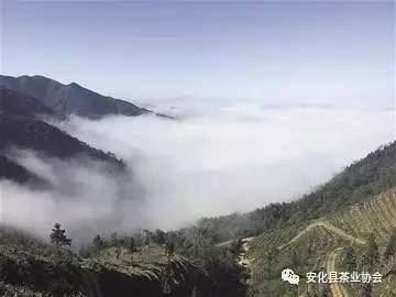 度假休闲何处去 百花村里百花寨