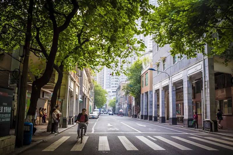 广州老城区借微改造大变身荔湾打造连接文化景点慢行系统