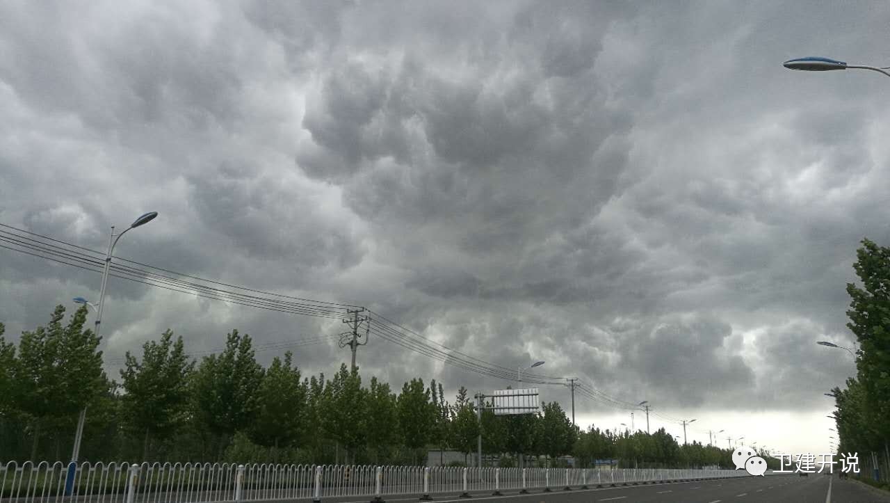 今天的滨州,狂风暴雨,黑云压城,树被劈断……更可怕的