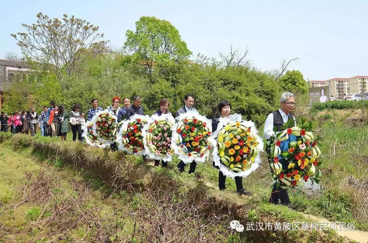 蔡榨镇人口_人口普查